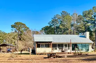 110 Lakeview Dr, Fort Gaines, GA 39851 - Photo 6