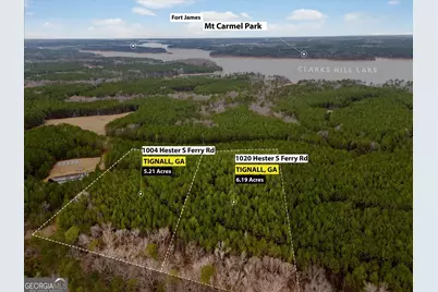 1004 Hesters Ferry Road, Tignall, GA 30668 - Photo 10