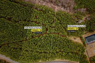 1004 Hester S Ferry Rd, Tignall, GA 30668 - Photo 1