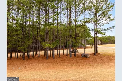 1068 Hesters Ferry Road, Tignall, GA 30668 - Photo 6