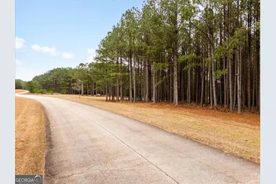 1068 Hesters Ferry Road, Tignall, GA 30668 - Photo 4