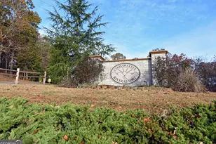 150 Summit St, Ellijay, GA 30540 - Photo 50