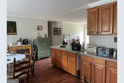 20229 Ga Highway 34, Franklin, GA 30217 - Photo 4