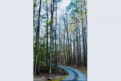 175 Marron Road, Fayetteville, GA 30215 - Photo 46