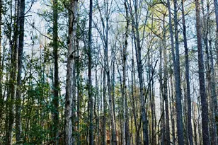 175 Marron Rd, Fayetteville, GA 30215 - Photo 46