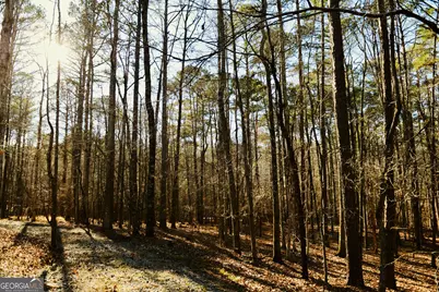 175 Marron Road, Fayetteville, GA 30215 - Photo 50