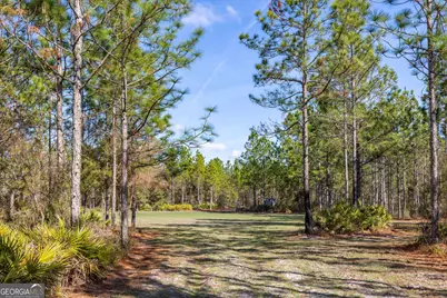 279 Mid River Rd, White Oak, GA 31568 - Photo 62