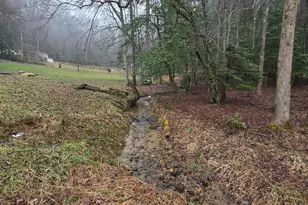 5134 Boardtown Rd, Ellijay, GA 30540 - Photo 16