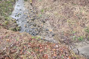 5134 Boardtown Rd, Ellijay, GA 30540 - Photo 18