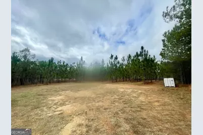 2150 Buena Vista Highway, Mauk, GA 31058 - Photo 8