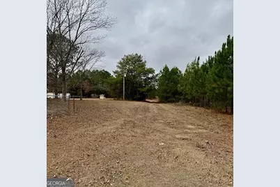 2150 Buena Vista Highway, Mauk, GA 31058 - Photo 10