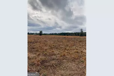 2150 Buena Vista Highway, Mauk, GA 31058 - Photo 6