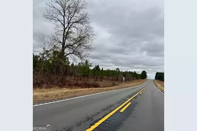 2150 Buena Vista Highway, Mauk, GA 31058 - Photo 12