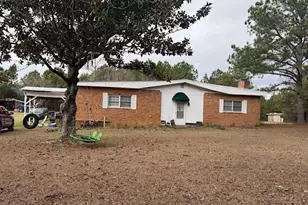 2150 Buena Vista Hwy, Mauk, GA 31058 - Photo 1