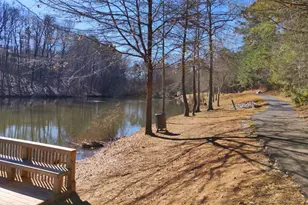 136 Baldwin Ct, Newnan, GA 30263 - Photo 36