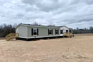 683 Evergreen Church Rd, Cobbtown, GA 30420 - Photo 28