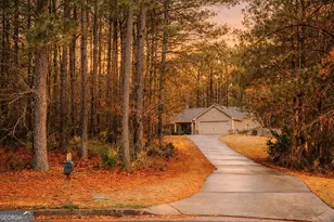 86 Concord Ct, Senoia, GA 30276 - Photo 28