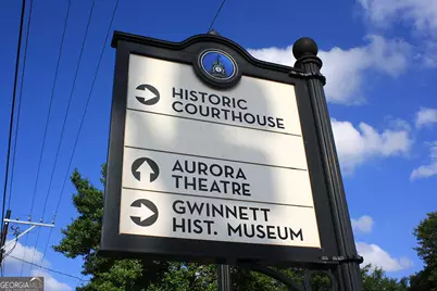 1351 Vintage Pointe Drive, Lawrenceville, GA 30044 - Photo 18