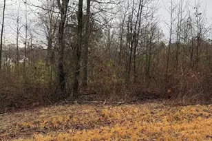 874 Forrester Cemetery Rd, Covington, GA 30014 - Photo 1