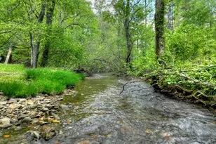 14092 Big Creek Rd, Cherrylog, GA 30522 - Photo 2