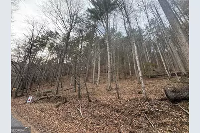 14092 Big Creek Road, Cherrylog, GA 30522 - Photo 36