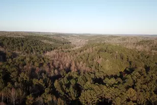 0 - Tract 2 Mt Zion Church Rd, Whitesburg, GA 30185 - Photo 1
