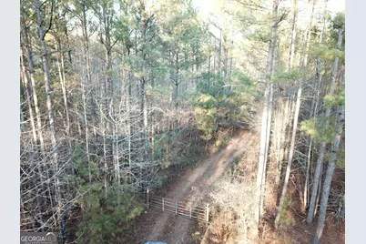 0 - Tract 2 Mt Zion Church Road, Whitesburg, GA 30185 - Photo 16