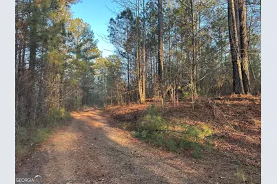 0 - Tract 2 Mt Zion Church Road, Whitesburg, GA 30185 - Photo 18