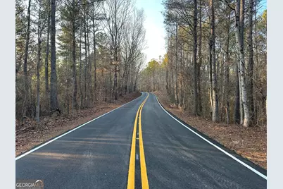0 - Tract 2 Mt Zion Church Road, Whitesburg, GA 30185 - Photo 20