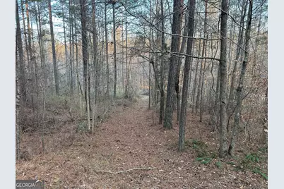 0 - Tract 2 Mt Zion Church Road, Whitesburg, GA 30185 - Photo 28