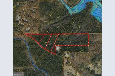 0 - Tract 2 Mt Zion Church Road, Whitesburg, GA 30185 - Photo 2