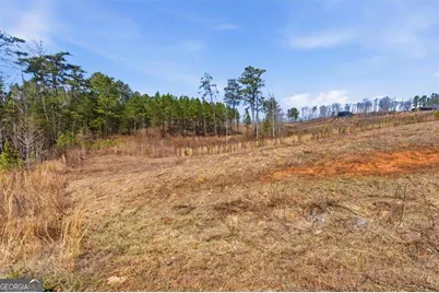 0 Highgrove Drive, Talking Rock, GA 30175 - Photo 14