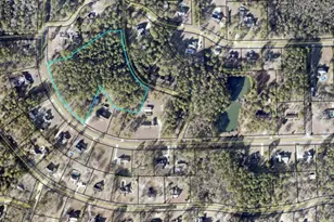 0 Cv Mosely Blvd, Vidalia, GA 30474 - Photo 1