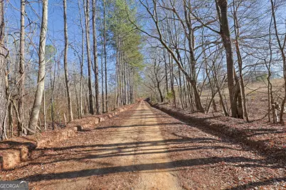 Tract 1 - 0 St. Paul Church Road, Shiloh, GA 31826 - Photo 10