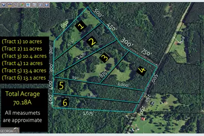 Tract 1 - 0 St. Paul Church Road, Shiloh, GA 31826 - Photo 14