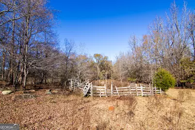 Tract 1 - 0 St. Paul Church Road, Shiloh, GA 31826 - Photo 6