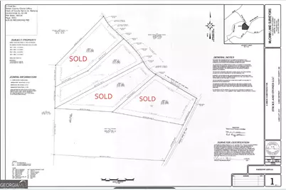 Tract 2 - 0 St. Paul Church Road, Shiloh, GA 31826 - Photo 16