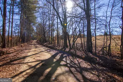 Tract 2 - 0 St. Paul Church Road, Shiloh, GA 31826 - Photo 4