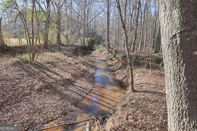 Tract 6 - 0 Chestnut Grove Road, Shiloh, GA 31826 - Photo 22