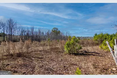 Tract 6 - 0 Chestnut Grove Road, Shiloh, GA 31826 - Photo 18