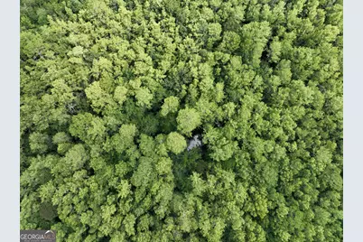 0 Abbeville Highway, Pineview, GA 31001 - Photo 54