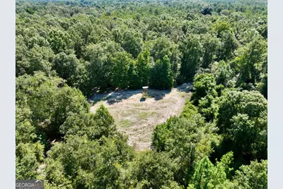 0 Abbeville Highway, Pineview, GA 31001 - Photo 1
