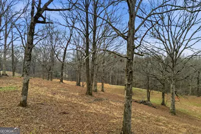 410 N Stringer Road, Canton, GA 30114 - Photo 2