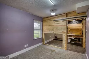 397 Brazey Rd, Monticello, GA 31064 - Photo 50