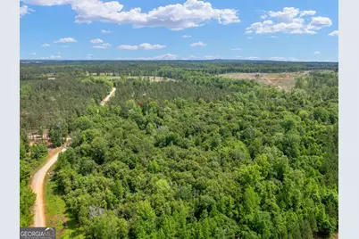 0 Perkins Road, Barnesville, GA 30204 - Photo 6