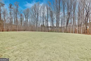 157 Ryeland Dr, Senoia, GA 30276 - Photo 76