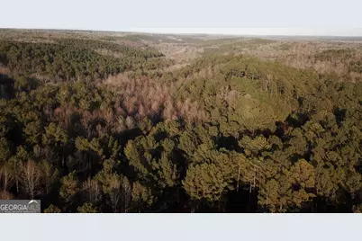 0 - Tract 4 Mt Zion Church Road, Whitesburg, GA 30185 - Photo 1