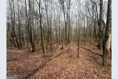 105 Scott Boulevard, Tyrone, GA 30290 - Photo 4