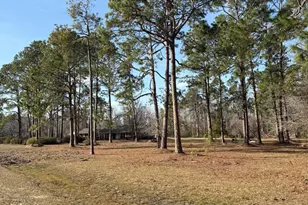 5686 Golden Isles W, Baxley, GA 31513 - Photo 4