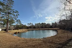 5686 Golden Isles W, Baxley, GA 31513 - Photo 14